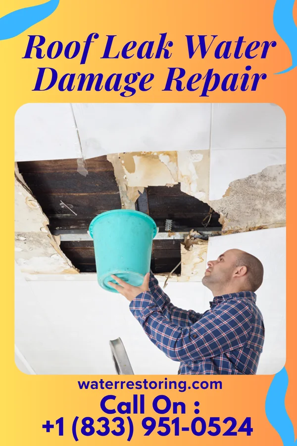 Roof Leak Water Damage Repair in Superior, AZ